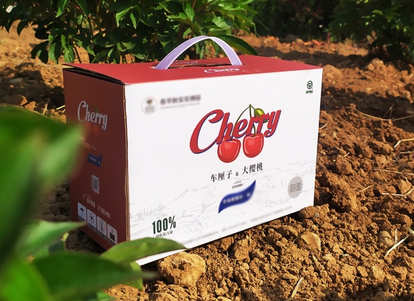 櫻桃、車?yán)遄佣Y盒